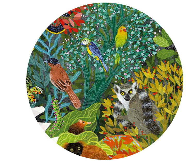 Forminė dėlionė Chameleonas
