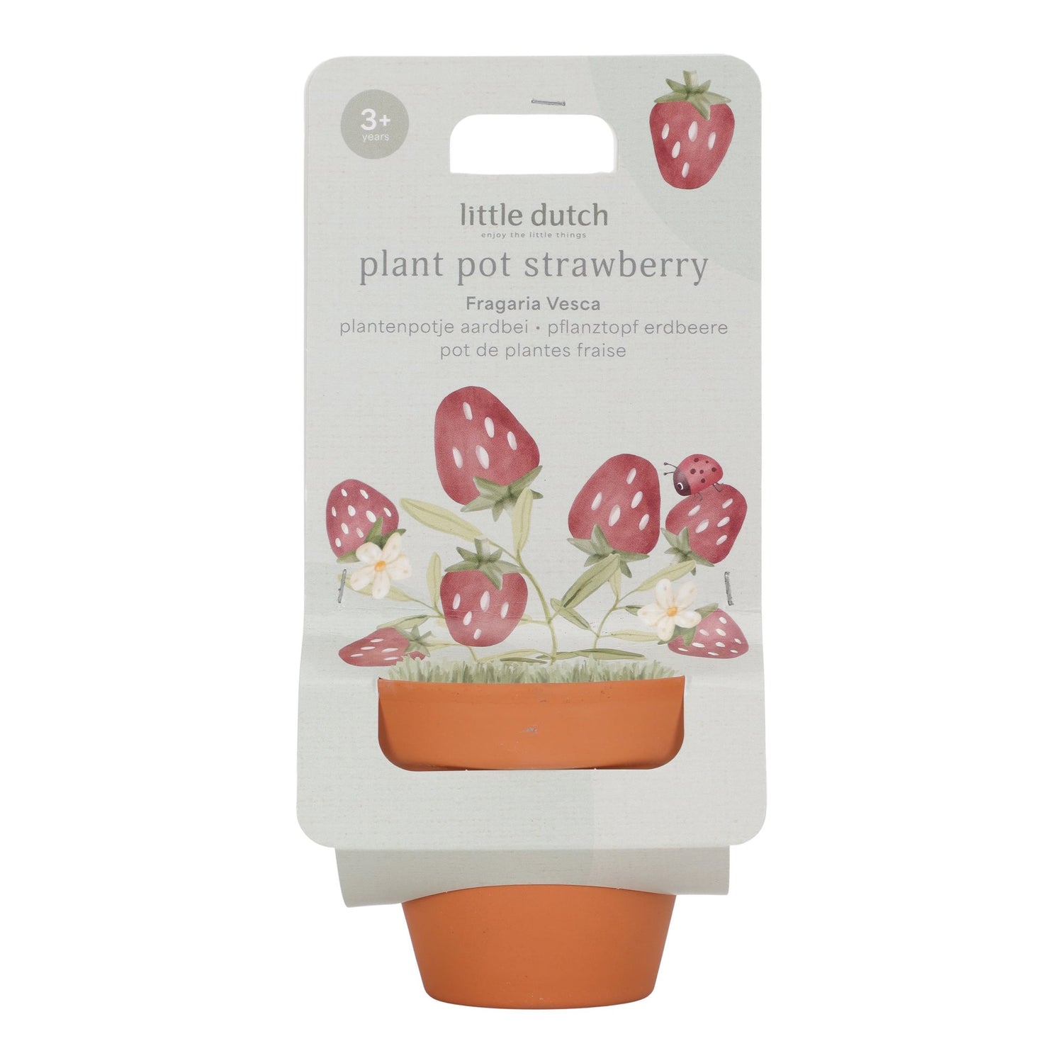 Little Dutch gėlių vazonėlis Strawberry